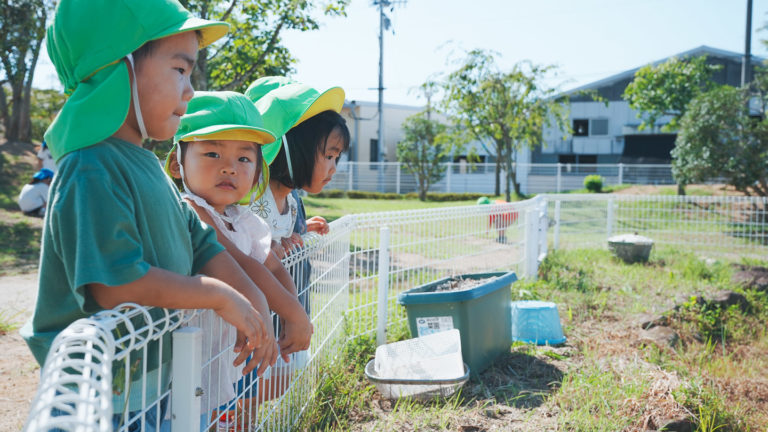 角田光の子保育園、外遊び3